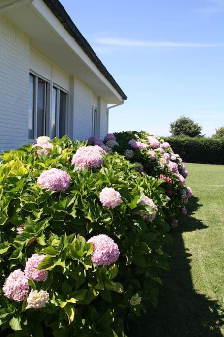 Perfect For Lovers And Golfers Holiday home Somo