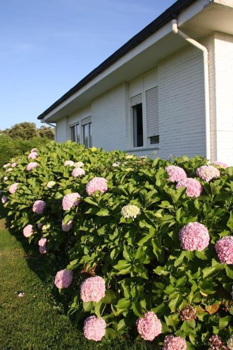 Perfect For Lovers And Golfers Holiday home Somo