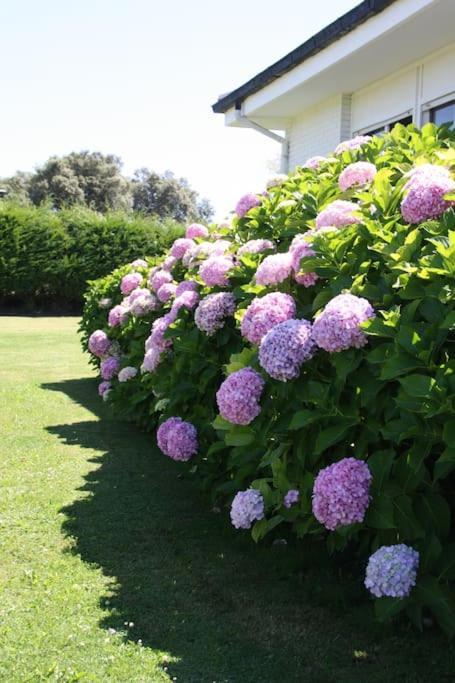 Hébergement de vacances Perfect For Lovers And Golfers Somo